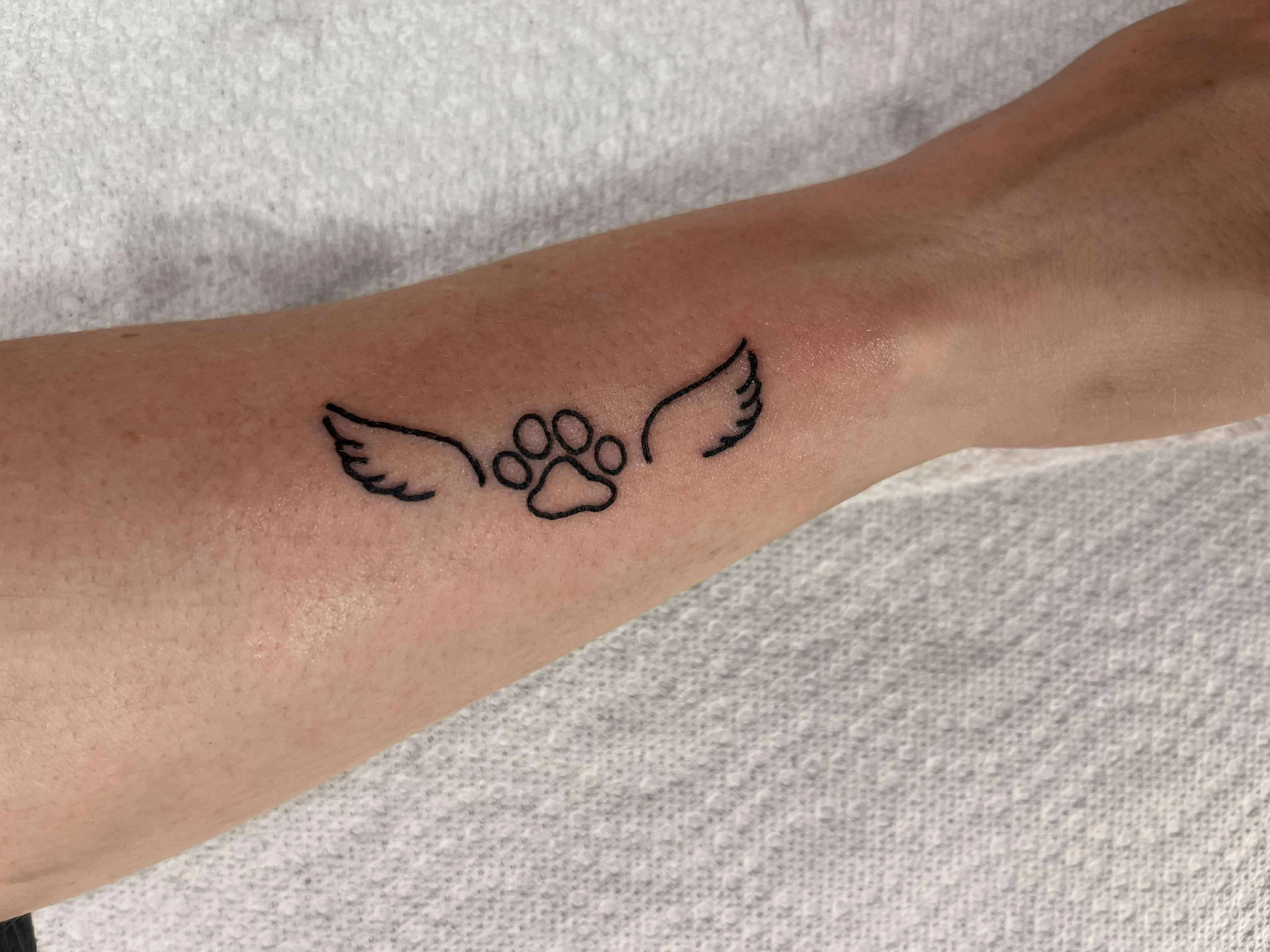Fine line angel paw memorial tattoo with wings and heartfelt remembrance design