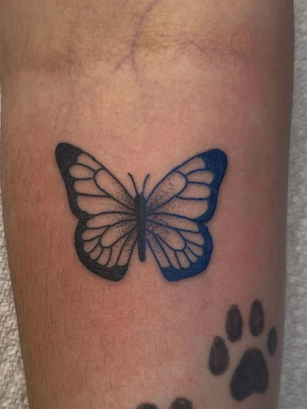 Fine line butterfly tattoo with elegant wing patterns and detailed linework