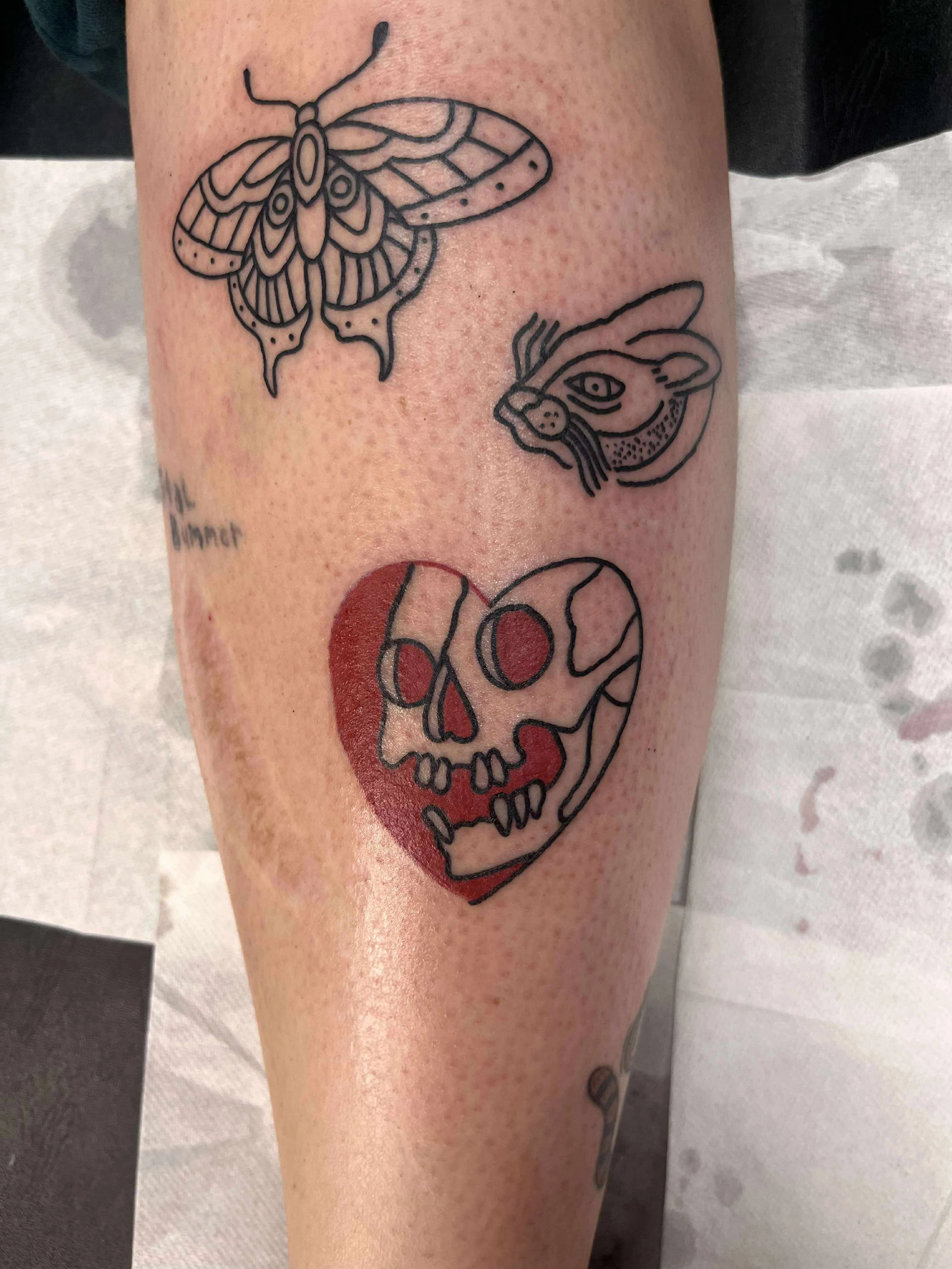 Fine line moth skull collection tattoo with gothic designs and intricate details