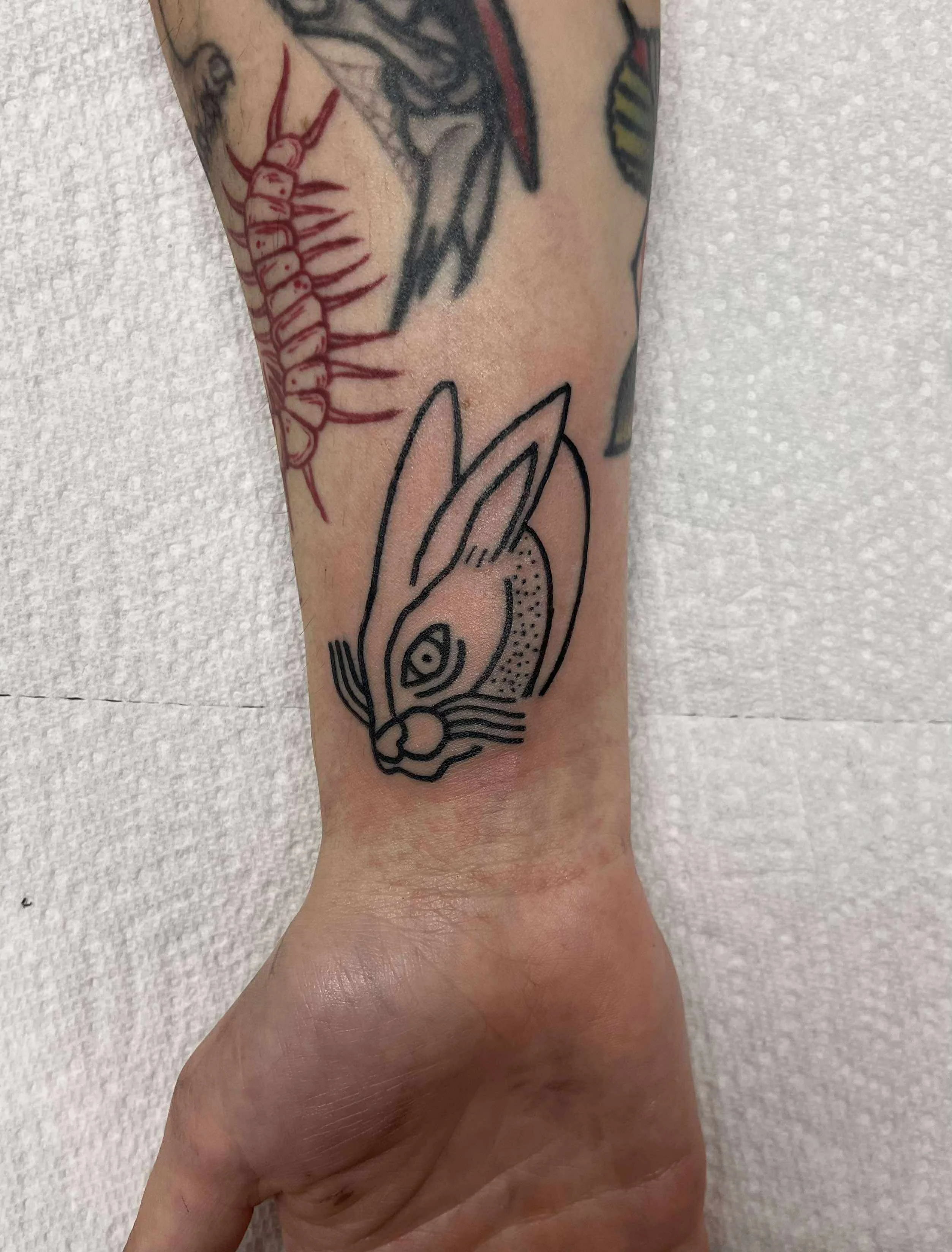 Fine line rabbit head with spine text tattoo featuring anatomical and nature elements