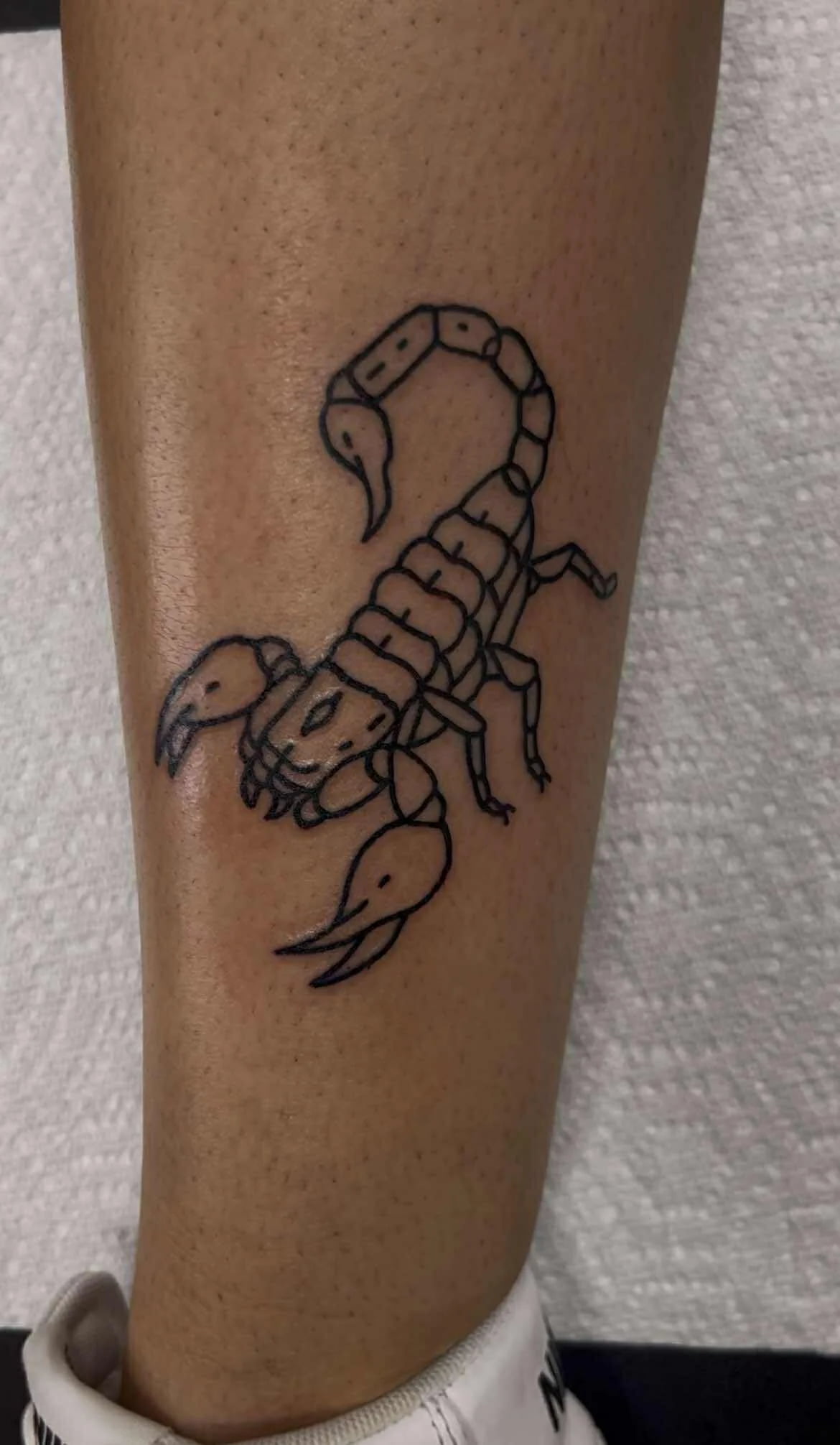 Fine line detailed scorpion tattoo with intricate linework and realistic design